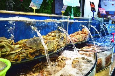 它堪稱南潯&ldquo;海鮮工廠&rdquo;,超70+種海鮮自選天天平價(jià)!