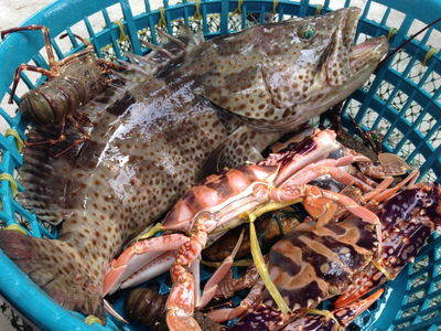 探海鮮萬山 | 海鮮美食節(jié)探鮮團招募，免費吃喝玩樂等你來！